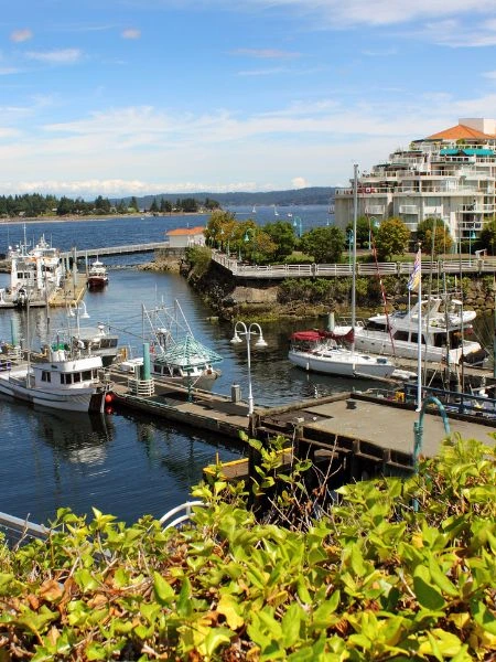Movers Nanaimo