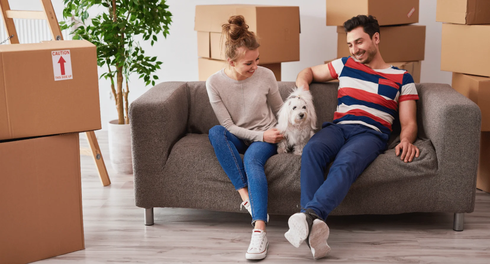 Long-Distance Moving With Pets