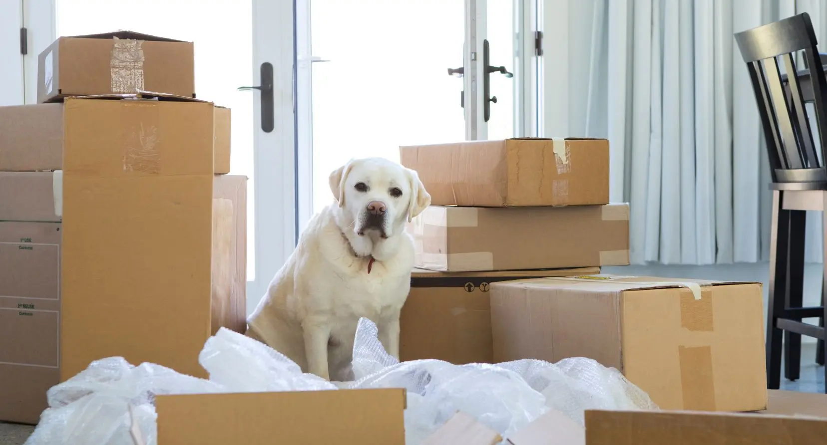 Holiday Moving Tips