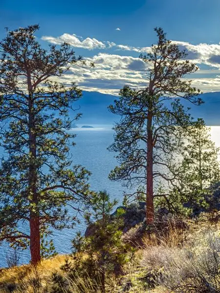 Long Distance Moving Peachland