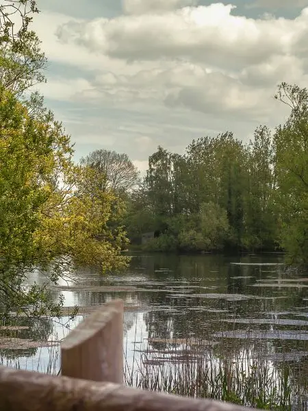 Long Distance Moving Langford