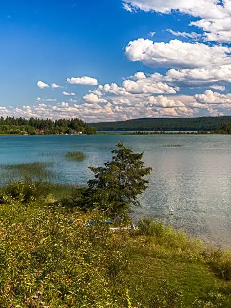Long-Distance Moving Williams Lake