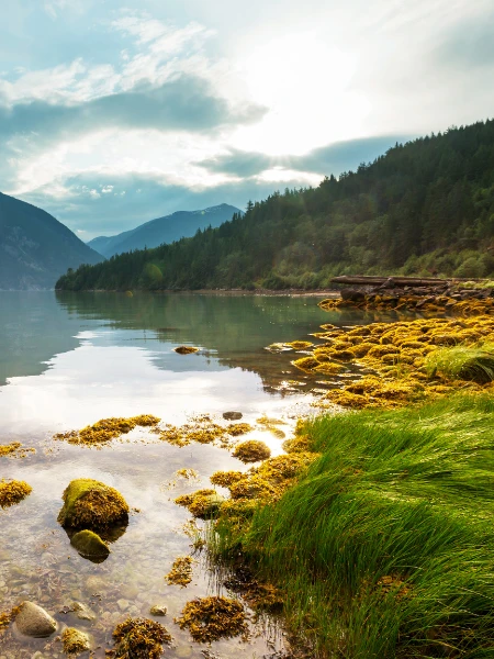Long Distance Moving Bella Coola
