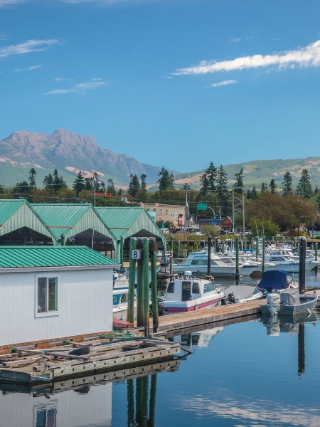 Long-Distance Moving Port Alberni